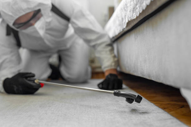 Professional Pest Control technician working in Teller County County, CO